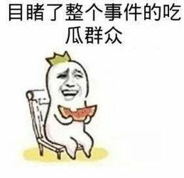 倔强式单身娱乐吃瓜酱,揭秘“倔强式单身娱乐吃瓜酱”的独特魅力