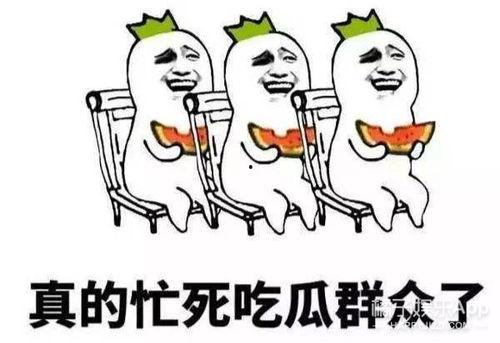 娱乐之星吃瓜群众是谁,揭秘娱乐圈幕后风云