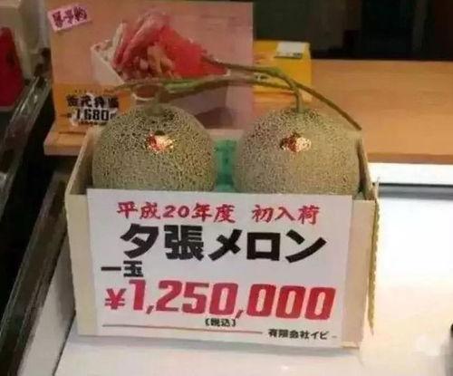 娱乐吃瓜铺,吃瓜群众背后的故事