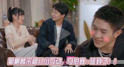 娱乐圈吃瓜警察小说,吃瓜警察的甜蜜侦查之旅
