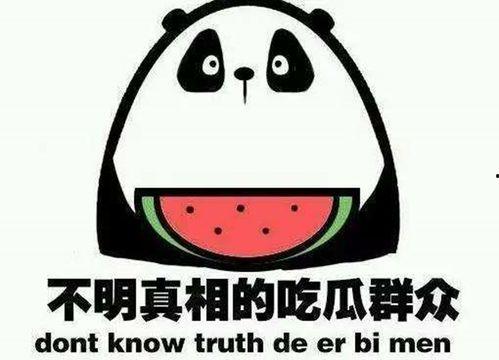 娱乐吃瓜壁纸图片大全集,盘点热门明星瞬间，尽收眼底