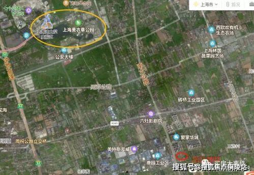 吃瓜娱乐圈最新语录图文,揭秘明星们的“金句”盛宴