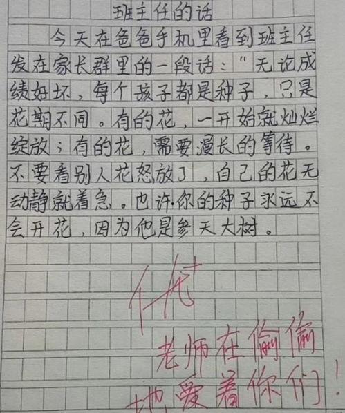 网友共享饮料娱乐吃瓜酱,饮料娱乐吃瓜酱，揭秘网红美食背后的故事