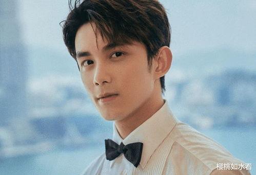 娱乐圈吃瓜吴磊是谁,揭秘他的星途与人气背后的故事