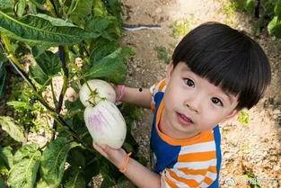 木木子娱乐吃瓜,揭秘娱乐圈最新吃瓜事件，带你领略明星幕后故事