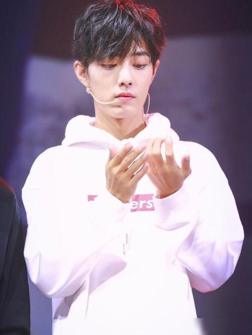 娱乐圈吃瓜爆料 肖战,娱乐圈风云再起，揭秘背后真相与争议