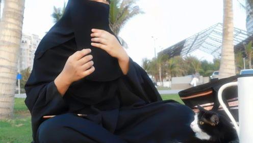 娱乐吃瓜君内增高