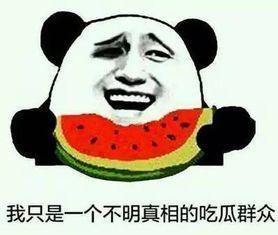 娱乐吃瓜酱你养过什么小众的,揭秘我那些不为人知的小众宠物